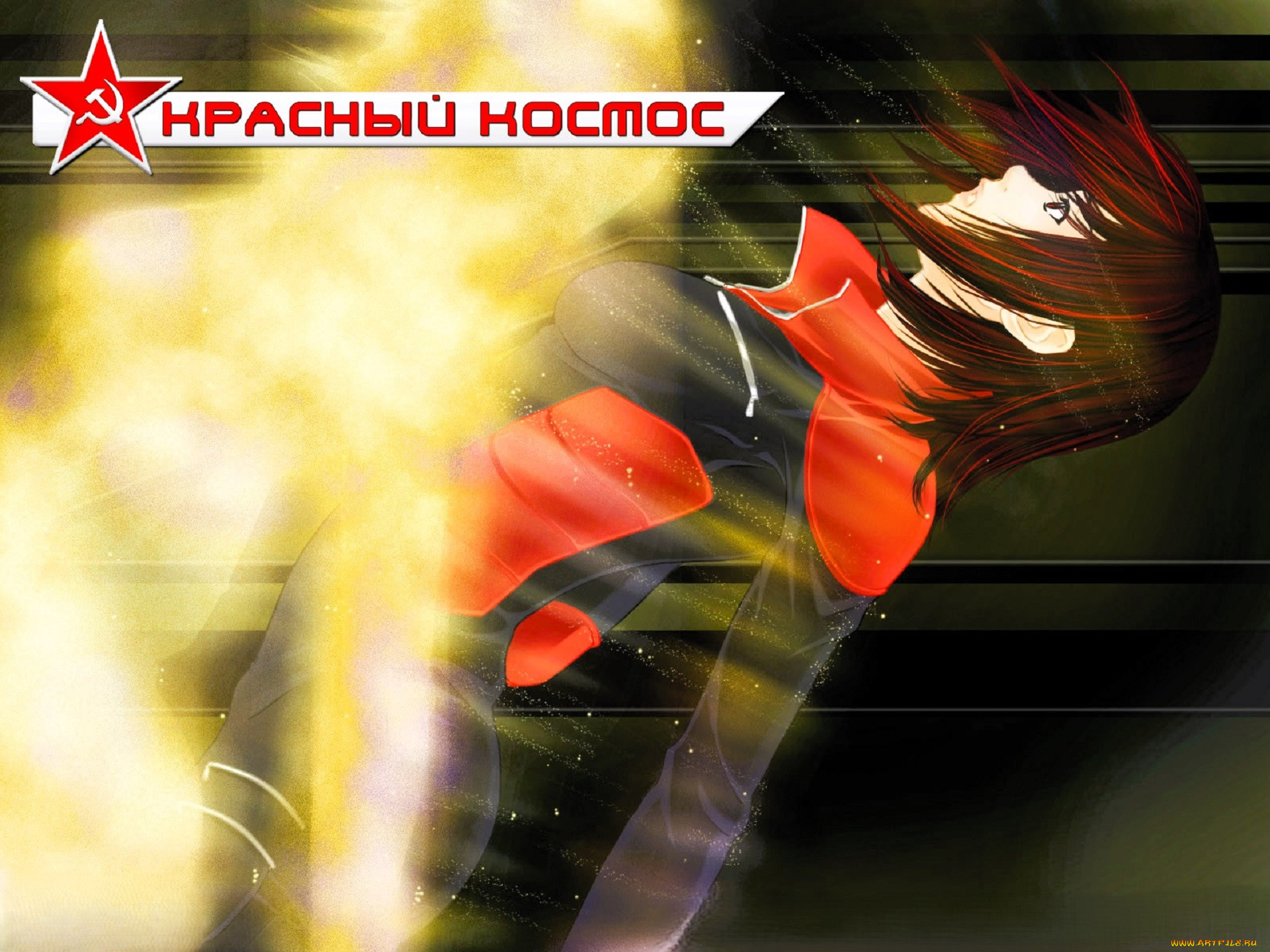  ,   , red cosmos, , , 